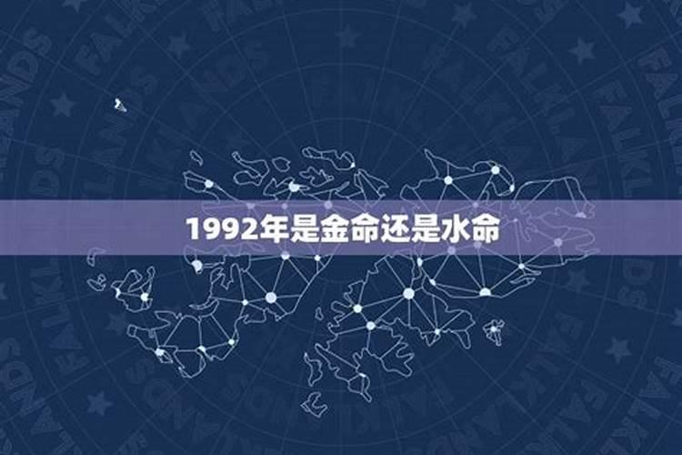 属兔人2025年综合运势