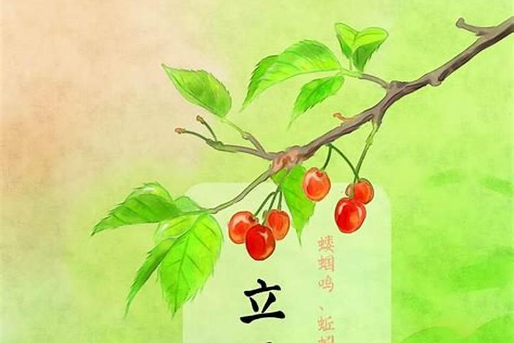 99年兔2025年运势
