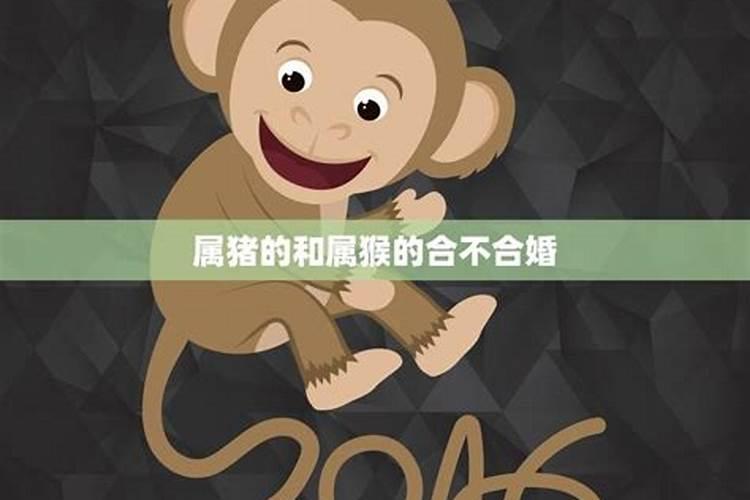 摩羯座英语怎么读？
