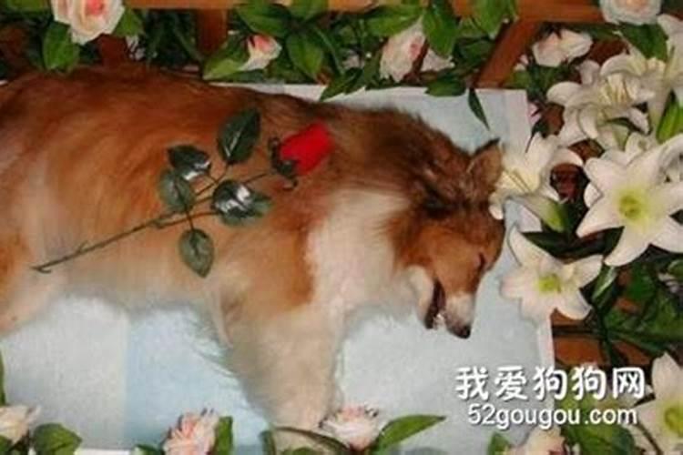 做恐怖的梦预示着什么意思