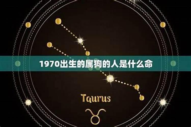 女人梦见狗生了小狗什么兆头