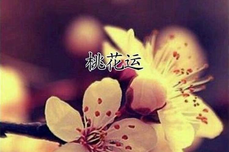 倒霉的人怎么化解霉运