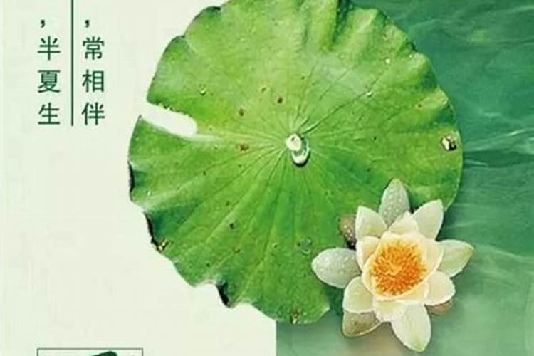 90后属相表年龄对照表
