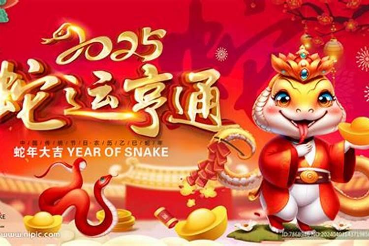 属蛇2025年全年运势
