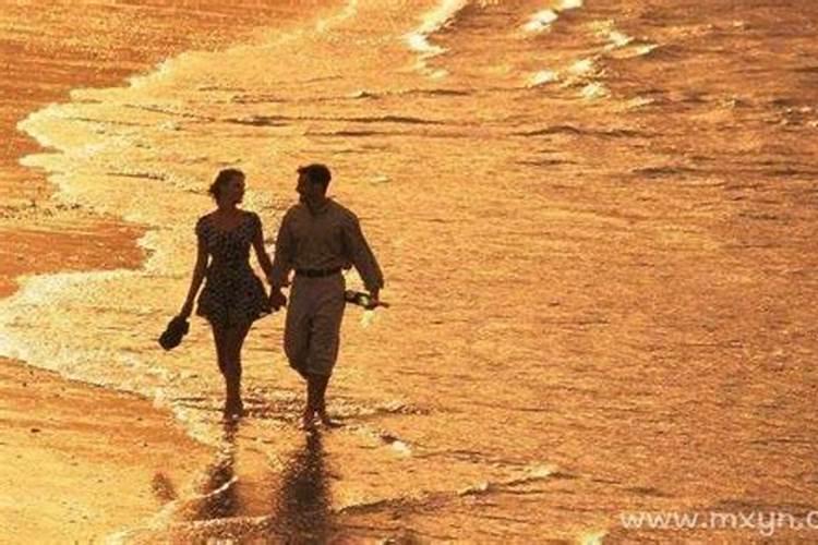 1995年属猪2024年运势男 95年属猪男2024年财运运势