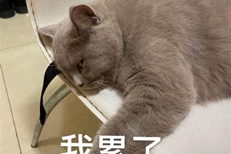 一斤纸钱等于多少万贯