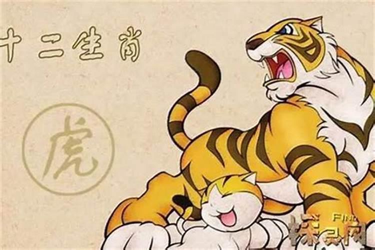 86年属虎男在2025年的运势和财运