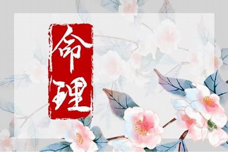 1984年2025年属鼠人的全年运势