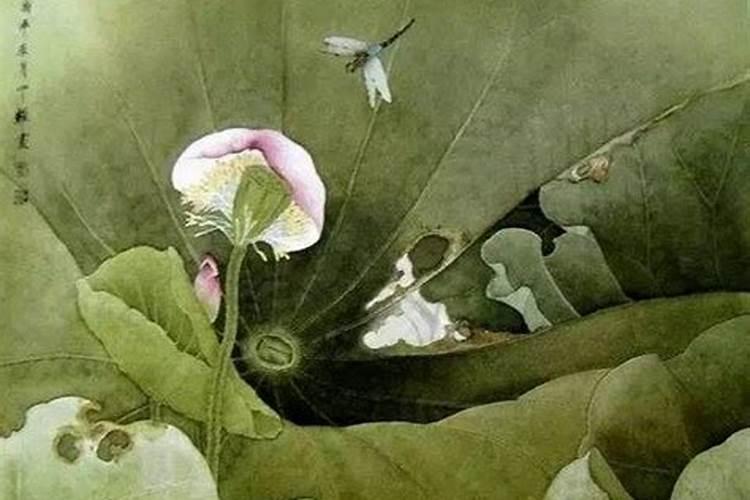 7月15可以给菩萨上香吗