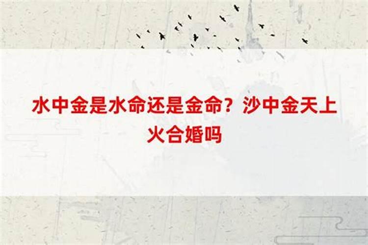 闰月出生的人怎么算命闰月出生的人有什么说法？