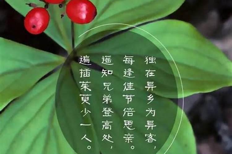 男人梦见大鱼预示着什么