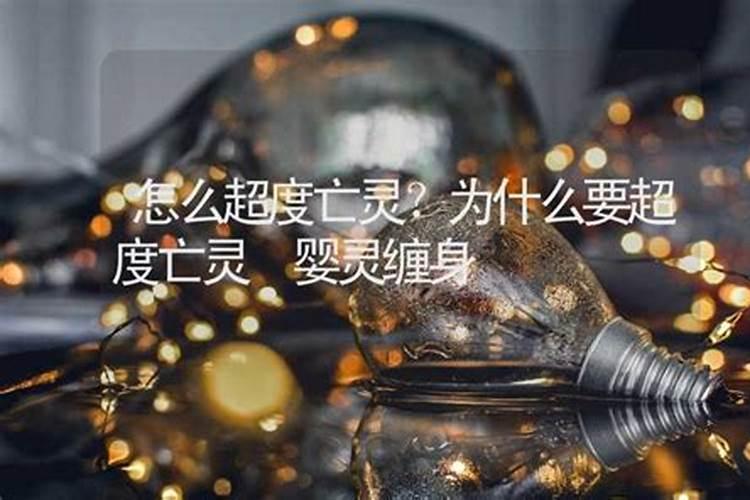 2025石家庄春节去哪儿玩