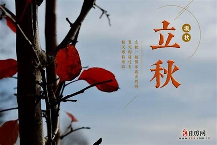 属虎2025年犯太岁怎么化解