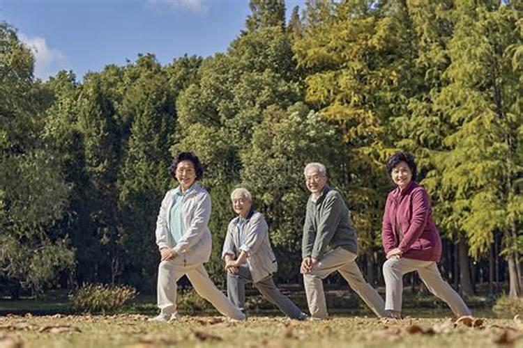 属猪2025年犯太岁怎么化解
