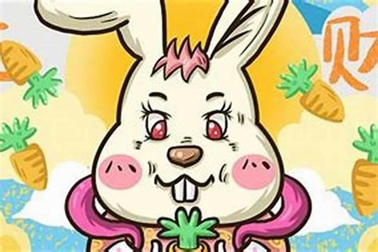 我属兔,今年本命年,本命年适合结婚不