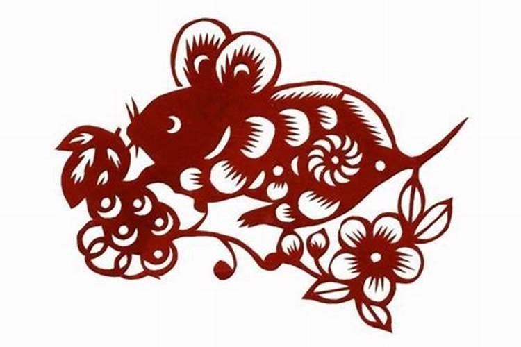 家里适合养什么植物带来好运 客厅放哪些植物风水好