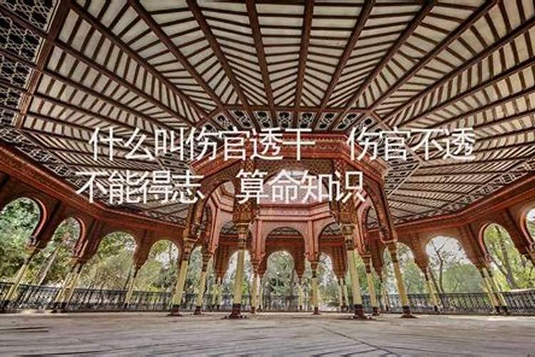 梦见亲人生男孩是什么意思