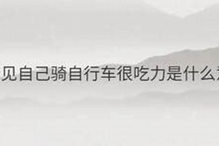 1983年属猪女2024年运势及每月运势