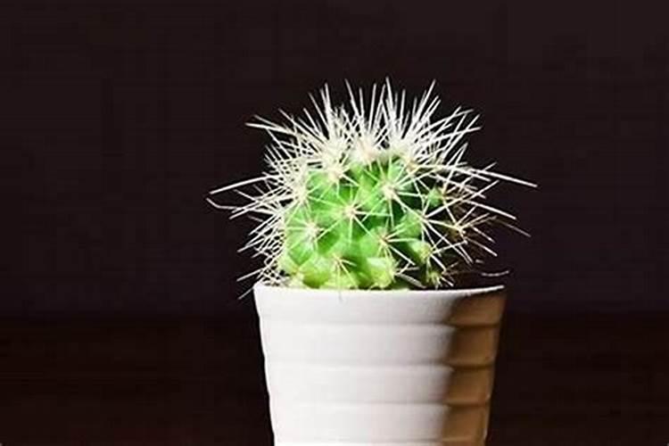 请滴水观音菩萨像有什么讲究吗？