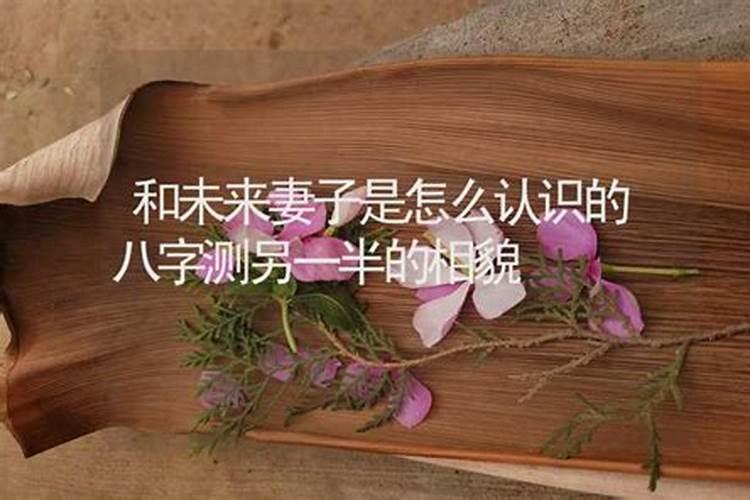 属蛇人2025年每月运势运程每月