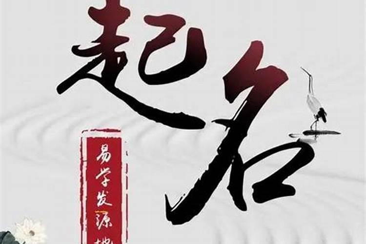 76龙男2025每月财运