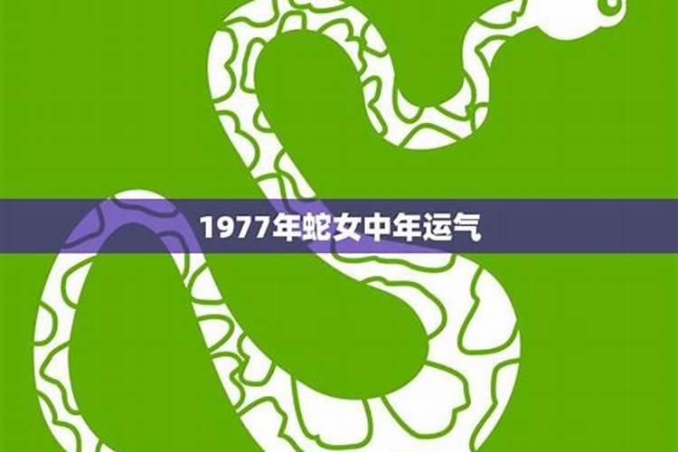 77年蛇女2025年运势完整版