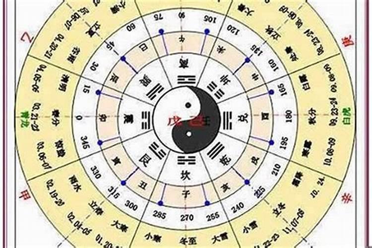 梦见大老鼠爬到我身上
