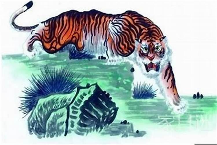 属虎人2025全年运势详解 属虎人2025年每月运势