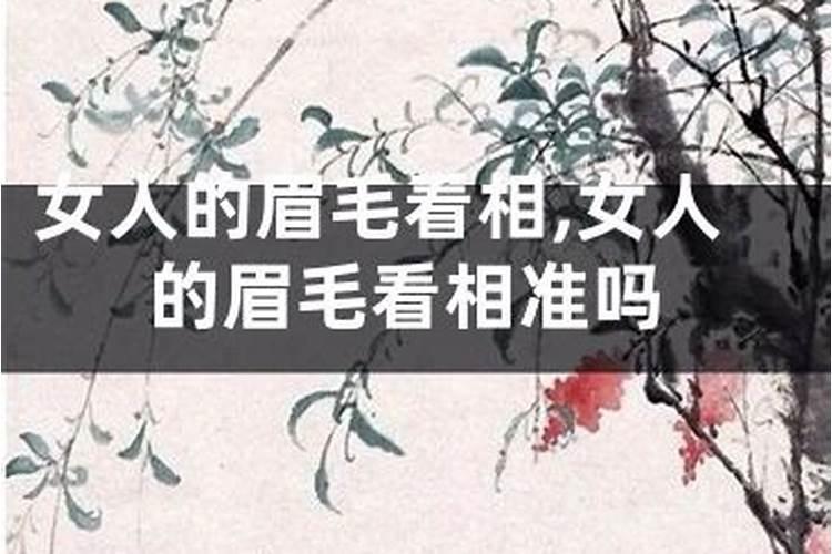 属鼠女和属鼠男的婚姻状况怎么样 属鼠男和属鼠女情感相配吗百度...