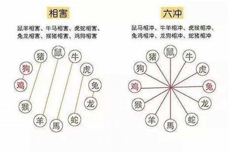 如何通过八字看配偶的年龄？