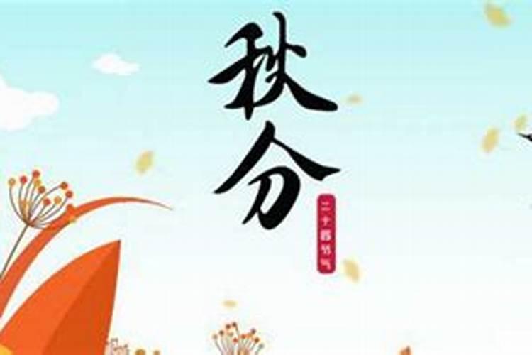 兔和猪的属相合不合