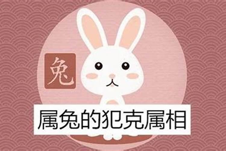 兔年犯太岁的生肖