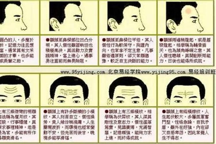 1986年属虎男在2025年每月运势及运程