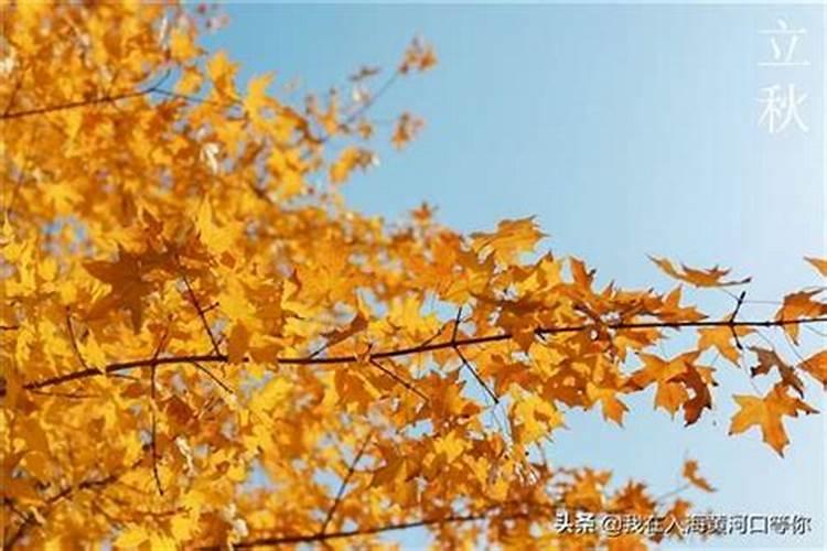 2023年立秋是黄道吉日吗2023年8月8号是黄道吉日吗