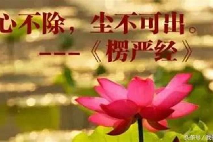 如果你对伴侣出轨的事耿耿于怀,不妨试试这样做!