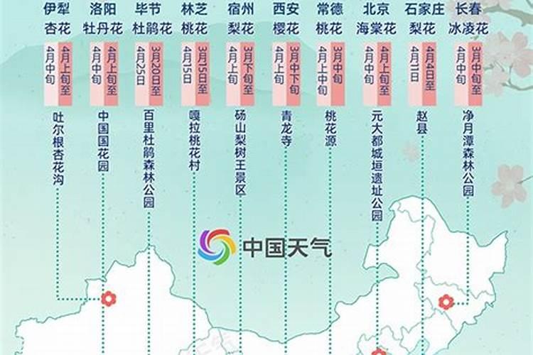 ...佳士得香港秋拍:青花釉里红太极八卦纹三弦莱菔尊以2000万港币落槌...