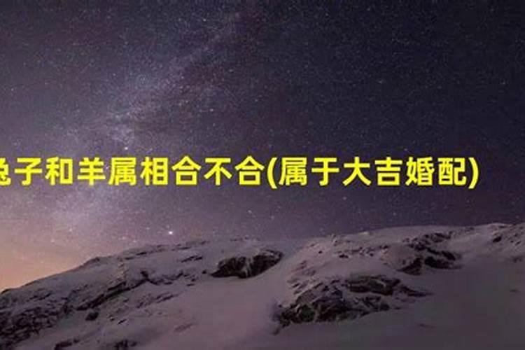 兔年犯太岁的生肖,2023年兔年犯太岁的四个属相