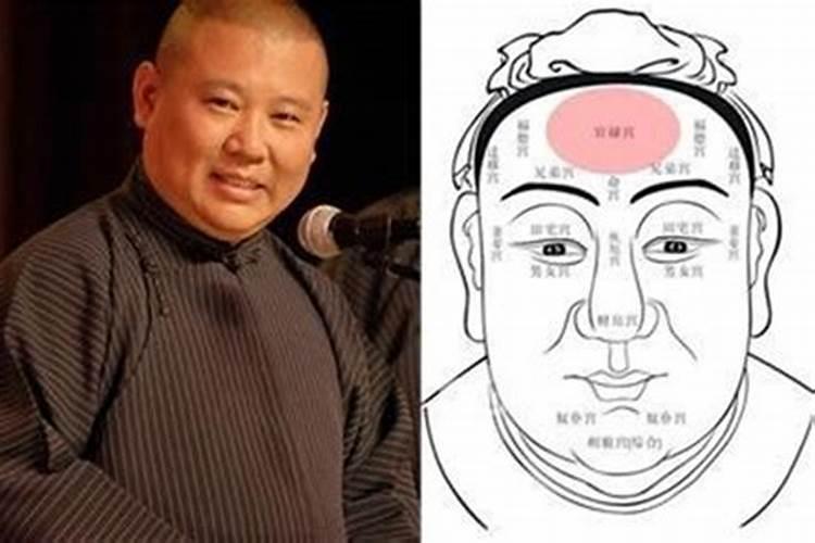 梦见死了两只老鼠的预兆