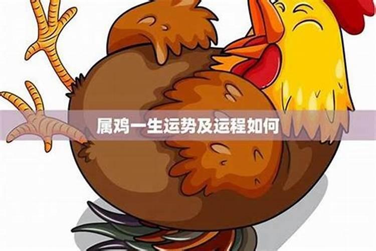 2025属龙犯太岁吗