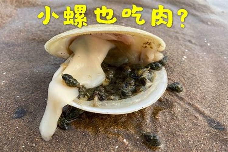 十月一送寒衣是什么意思 十月一为啥要送寒衣