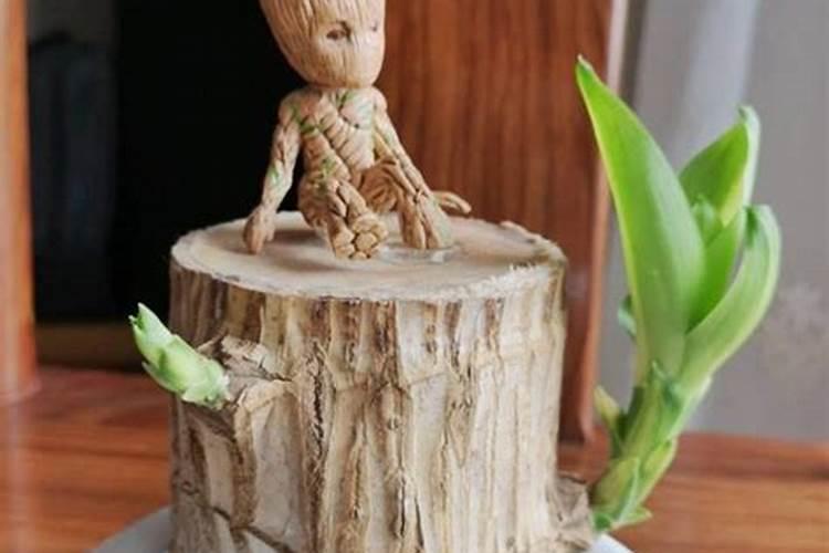 抖音很火的浇水发芽的木头叫什么上面还有一个小人？