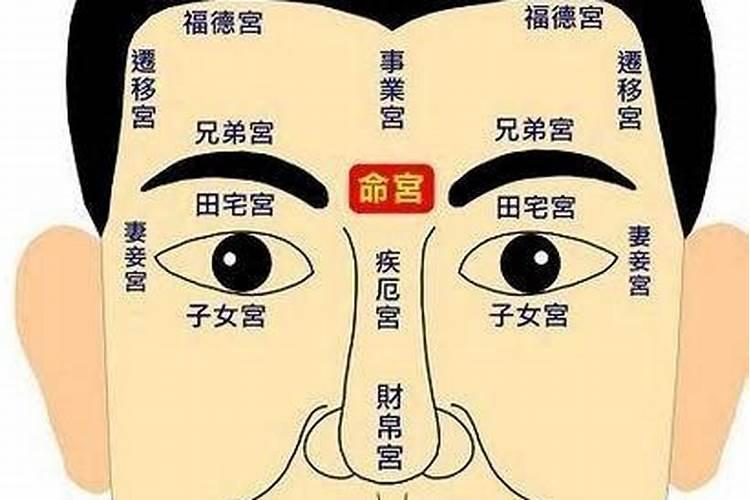 梦到参加因为打胎而举办的葬礼代表什么？