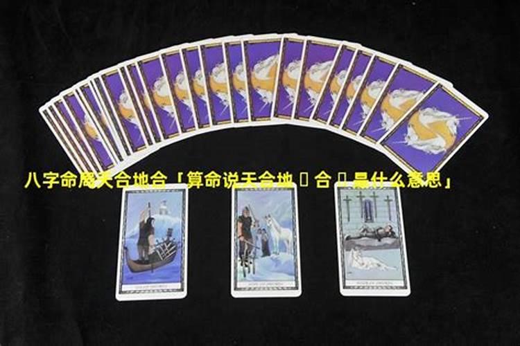 八字合婚天合地合 年柱与月柱天合地合是什么意思？