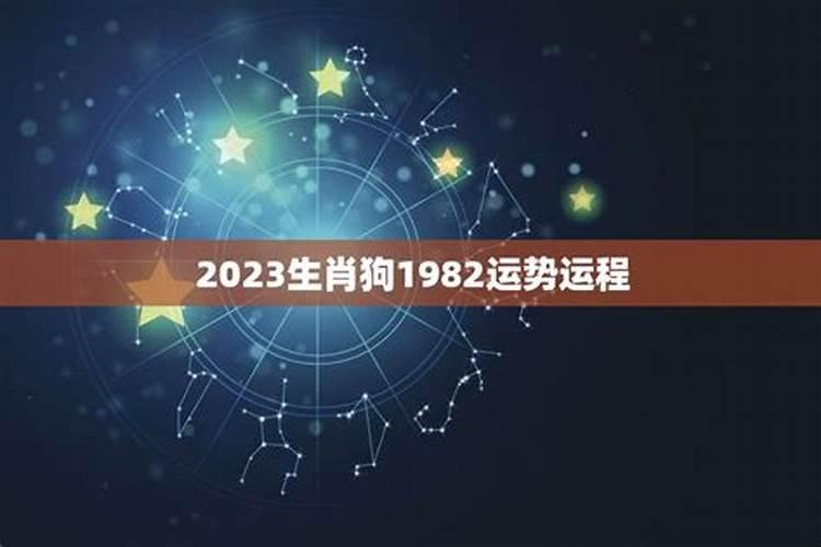 1982年属狗女士[43岁]2025年情感运势大揭秘,婚姻发展如何？