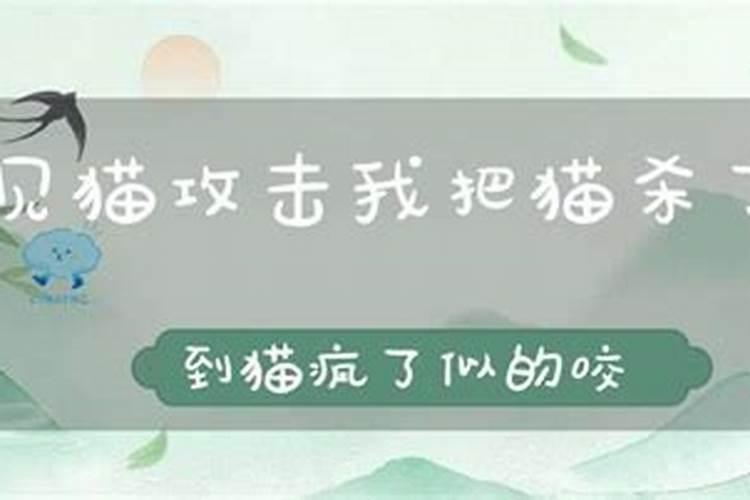 冬至吃什么养生多吃补气食物