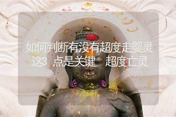 在算命的地方合婚合八字要多少钱