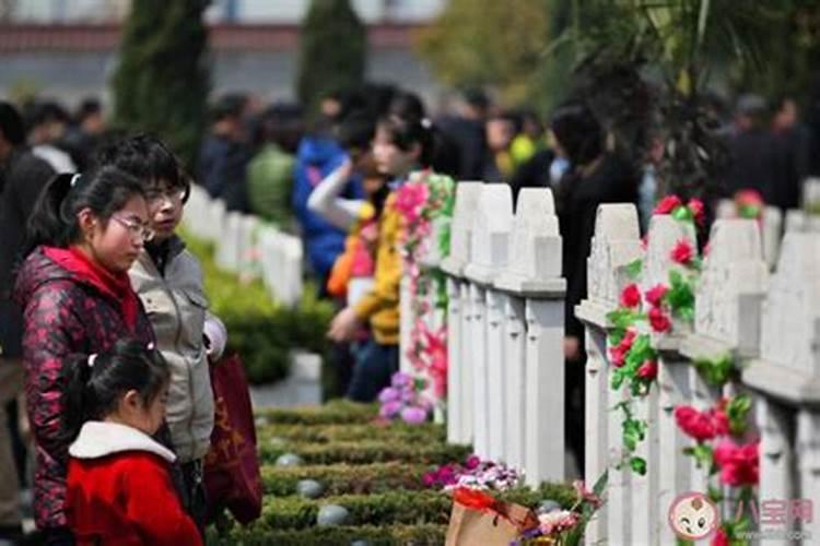 不是清明节可以去墓地烧纸吗？