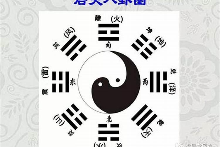 2022年11月28日特吉生肖蛇人打麻将运气