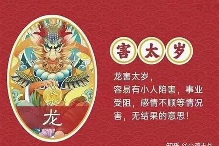 1987年的兔在2025年的运势怎么样