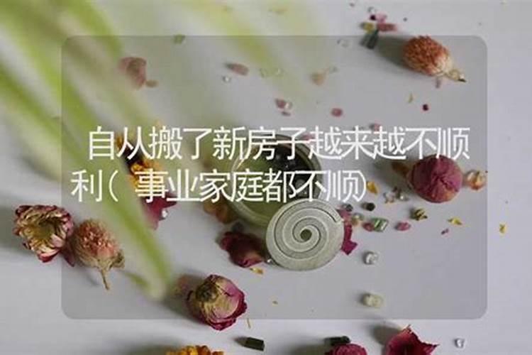 2011年属兔的阴历七八月出生怎么样？